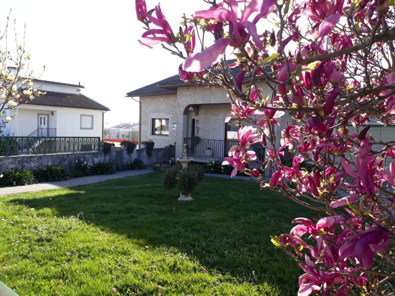 Cynda'S Home Viseu Exterior photo