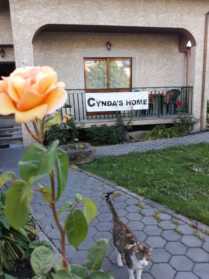 Cynda'S Home Viseu Exterior photo
